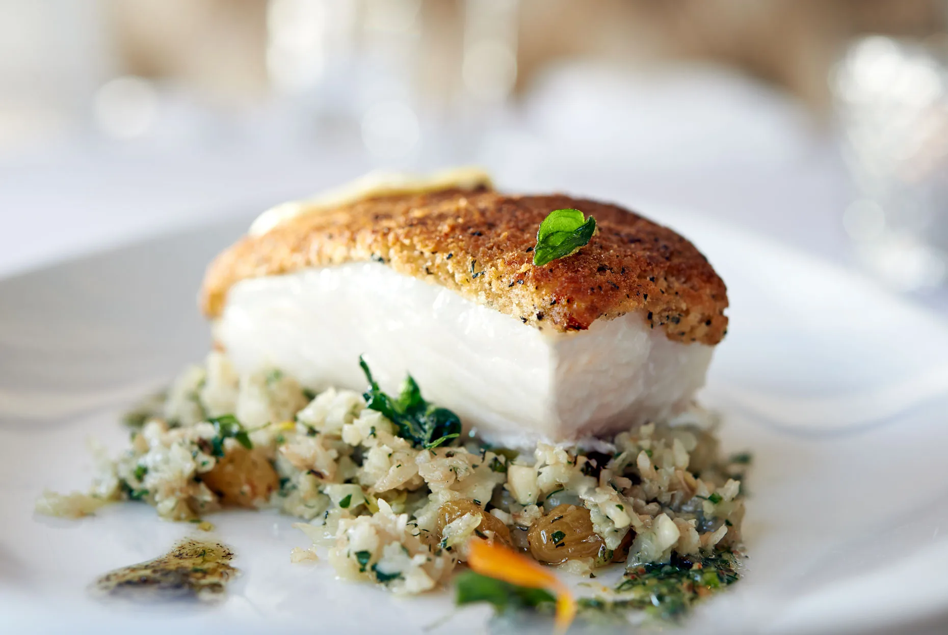 Mason Pacific Halibut