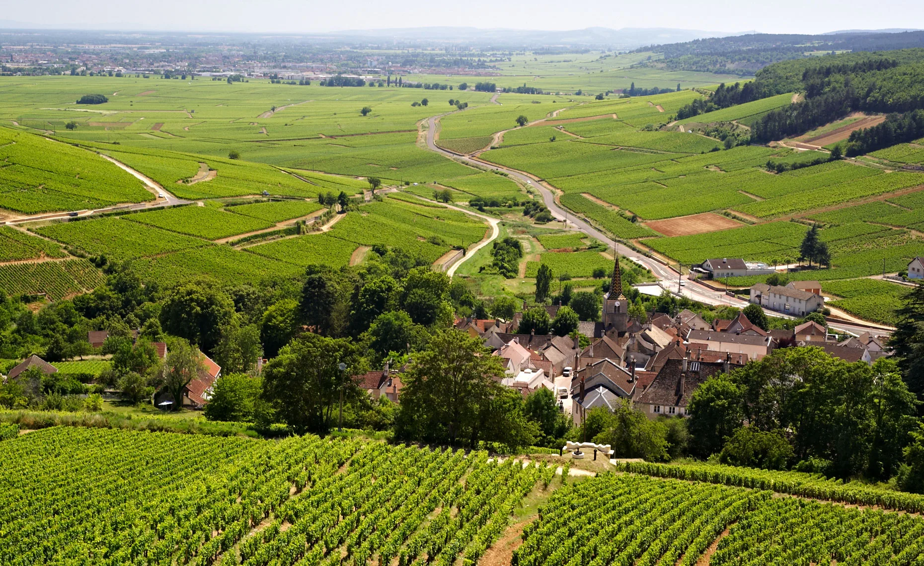 France, Burgandy
