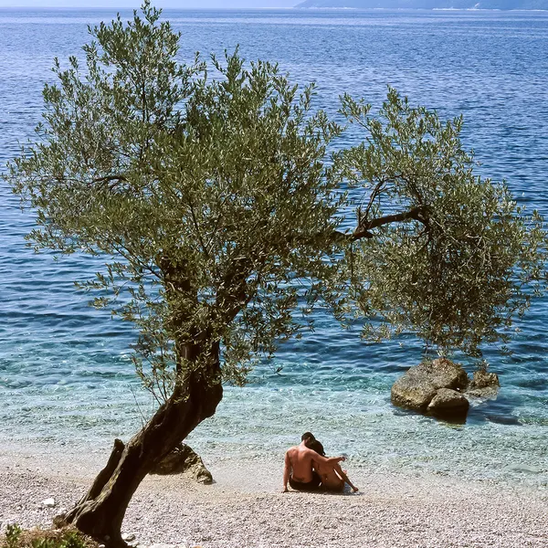 Olive Tree Beach, Greece