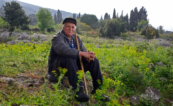 Shepherd, Greece