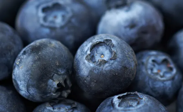 Blueberries, detail, close up