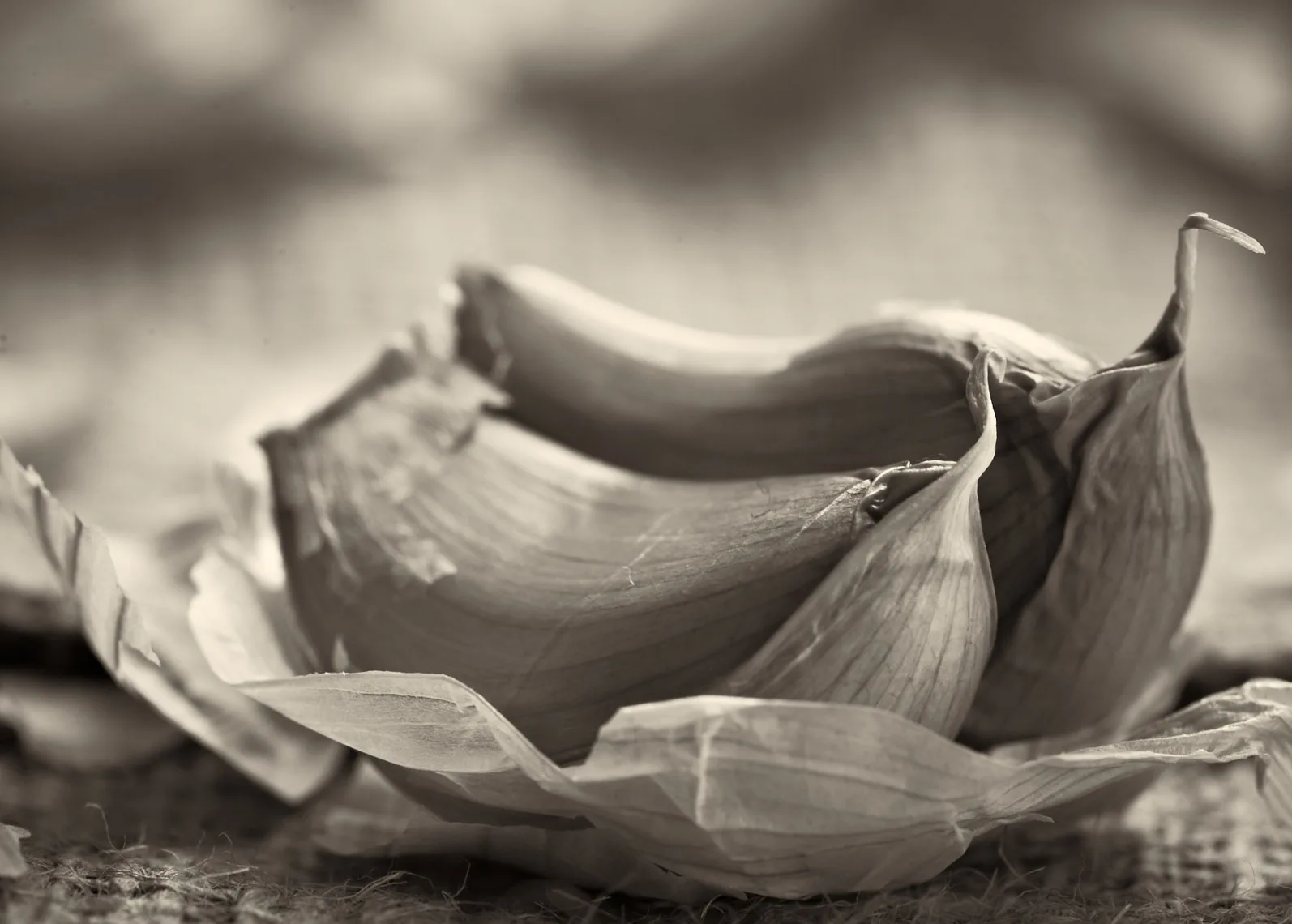 Garlic, Cloves