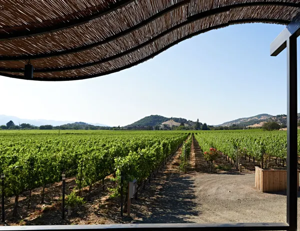 Porch_Vineyard_View.jpg