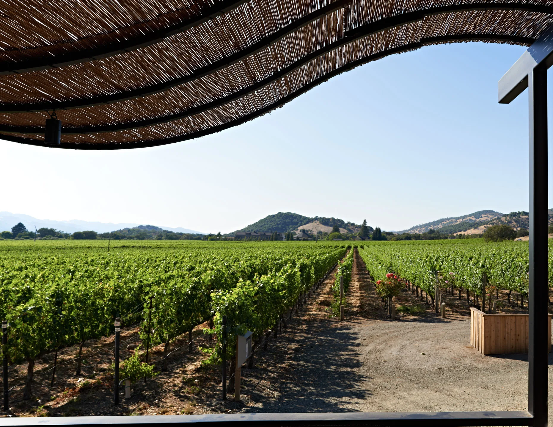 Porch_Vineyard_View.jpg